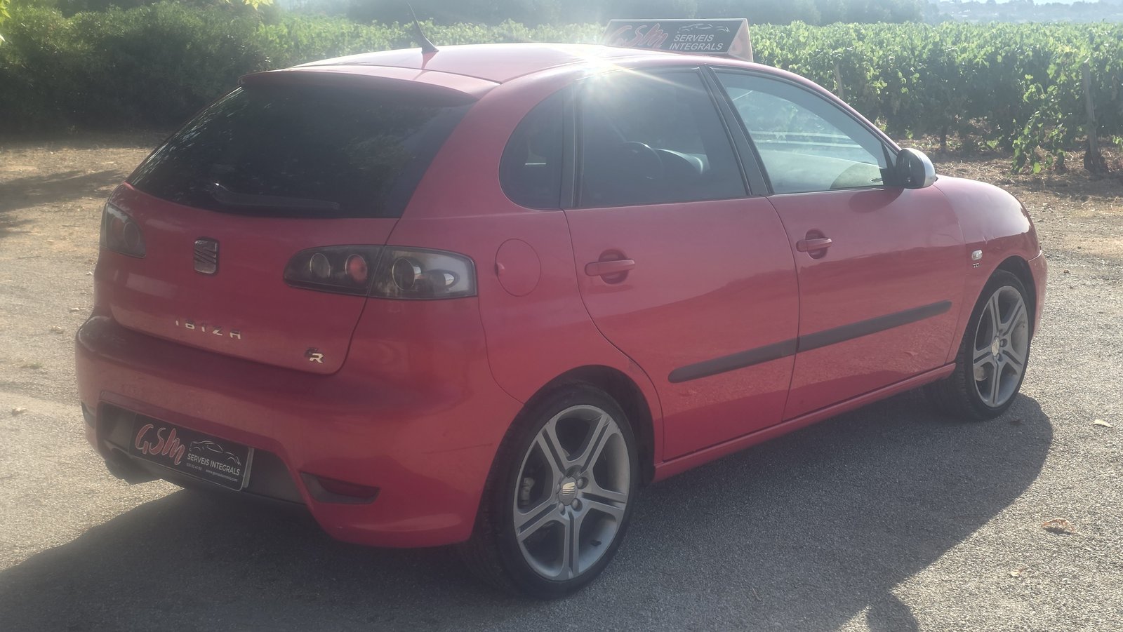 SEAT Ibiza FR 1.9 TDI 110 CV 2007 de ocasión en GSM Serveis Integrals Automoció, Vilobí del Penedès (5)