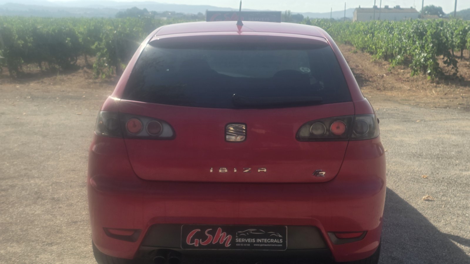 SEAT Ibiza FR 1.9 TDI 110 CV 2007 de ocasión en GSM Serveis Integrals Automoció, Vilobí del Penedès (6)