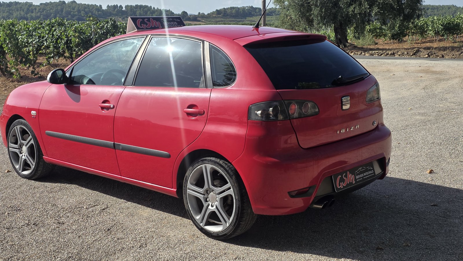 SEAT Ibiza FR 1.9 TDI 110 CV 2007 de ocasión en GSM Serveis Integrals Automoció, Vilobí del Penedès (7)