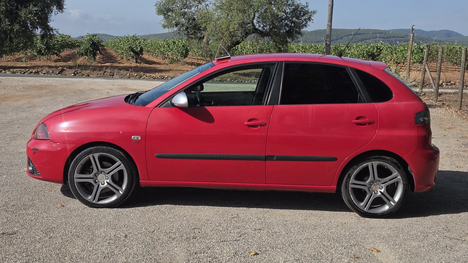 SEAT Ibiza FR 1.9 TDI 110 CV 2007 de ocasión en GSM Serveis Integrals Automoció, Vilobí del Penedès (8)