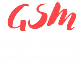 GSM Serveis Integrals Automoció